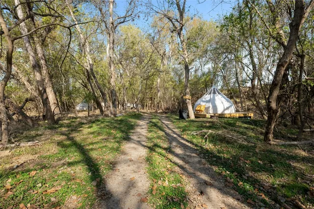 a view of a backyard with large trees