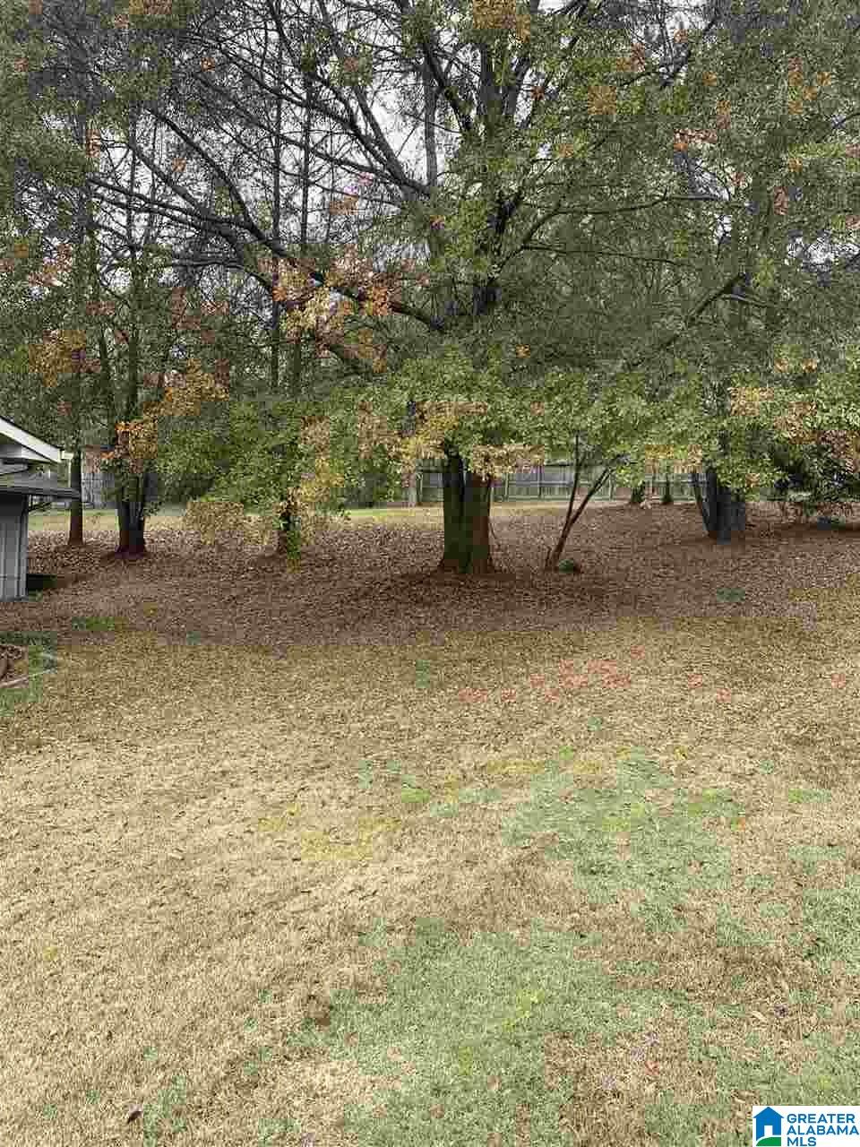 238 Odum Road Gardendale, AL 35071 - Photo 29 of 31