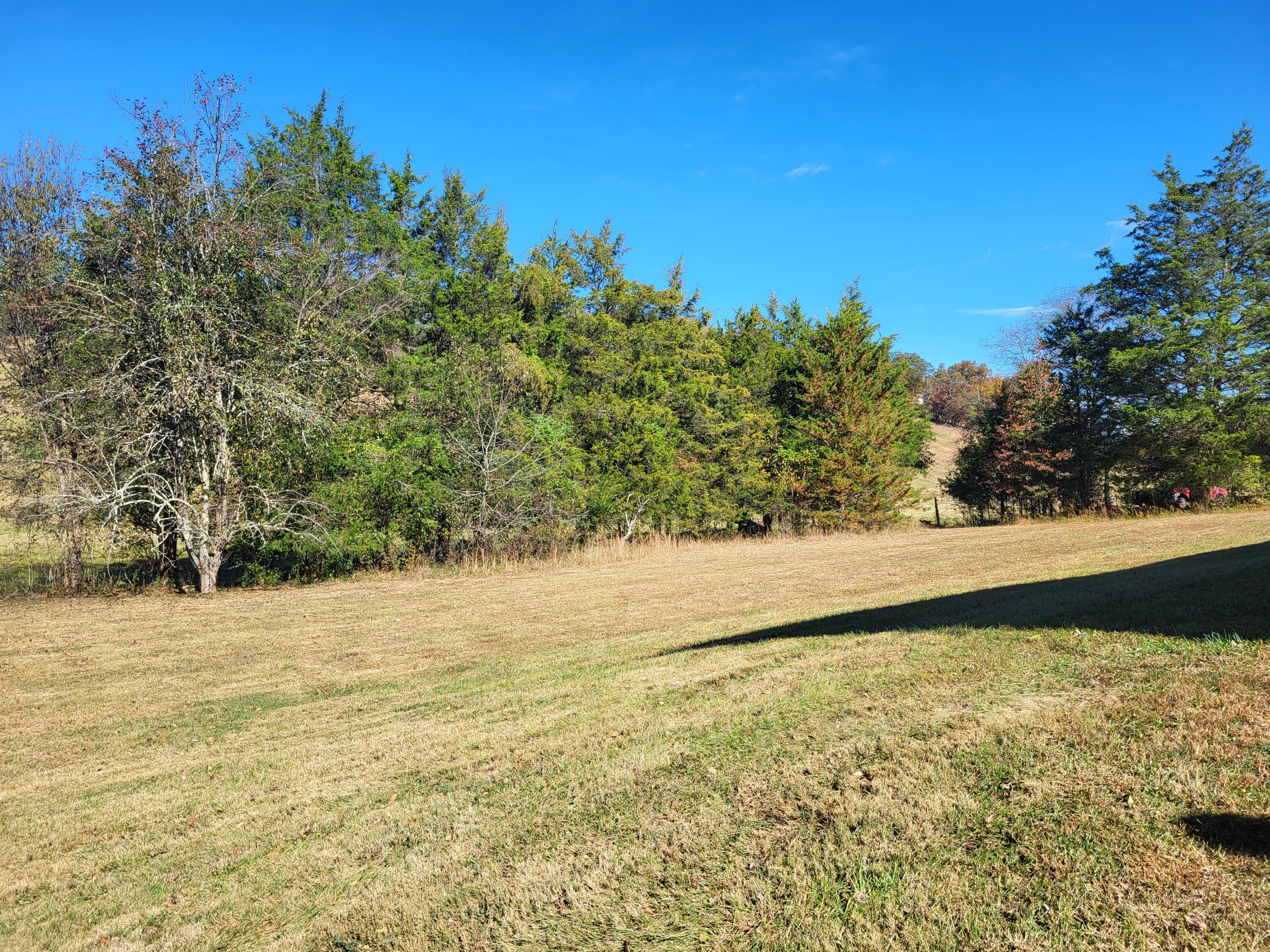 474 Cline Road Dandridge, TN 37725 - Photo 9 of 23 20221020_112531