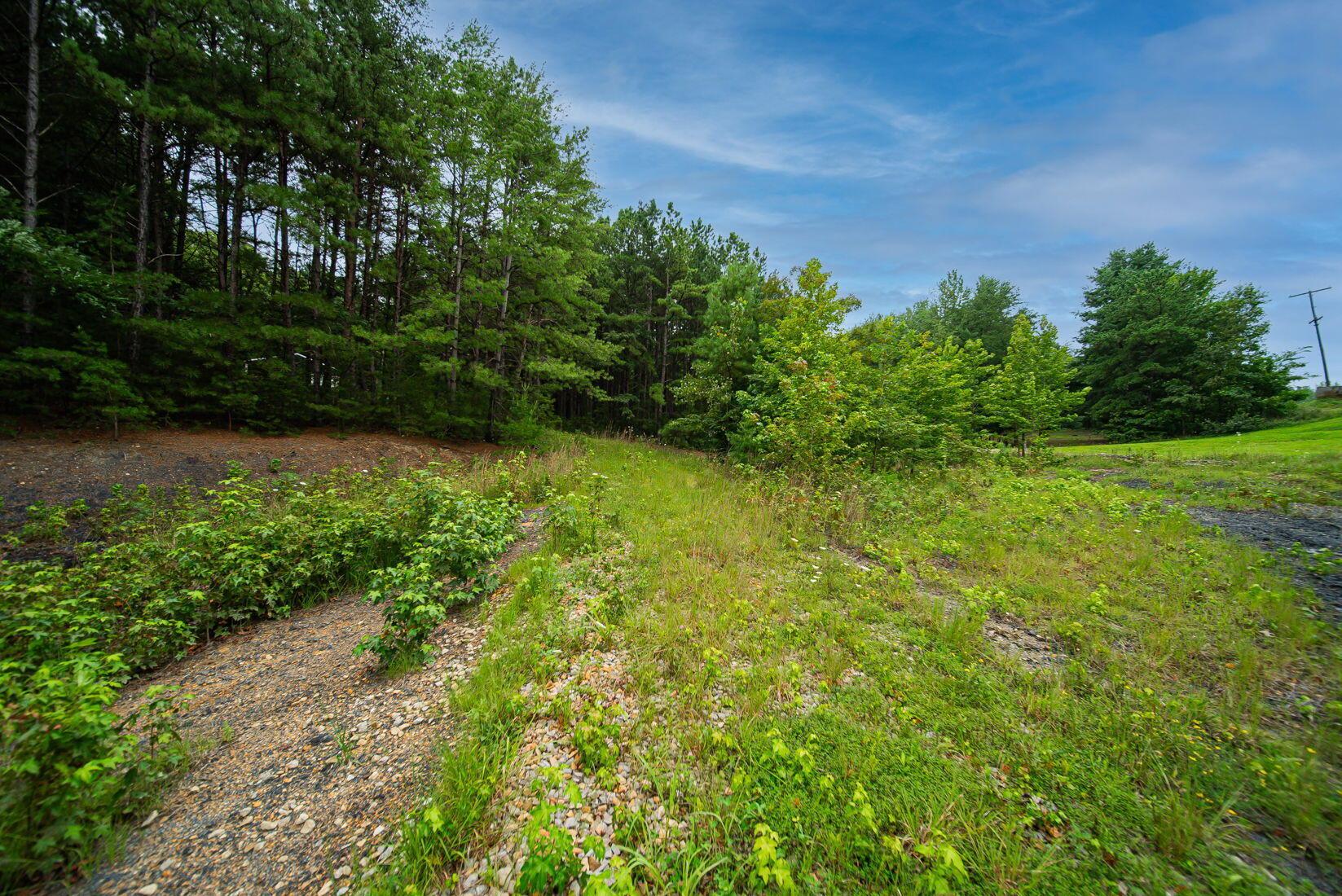 9758 Wesley Chapel Road Mount Perry, OH 43760 - Photo 7 of 43 2-web-or-mls-Todd Burns - 9758 Wesley Ch