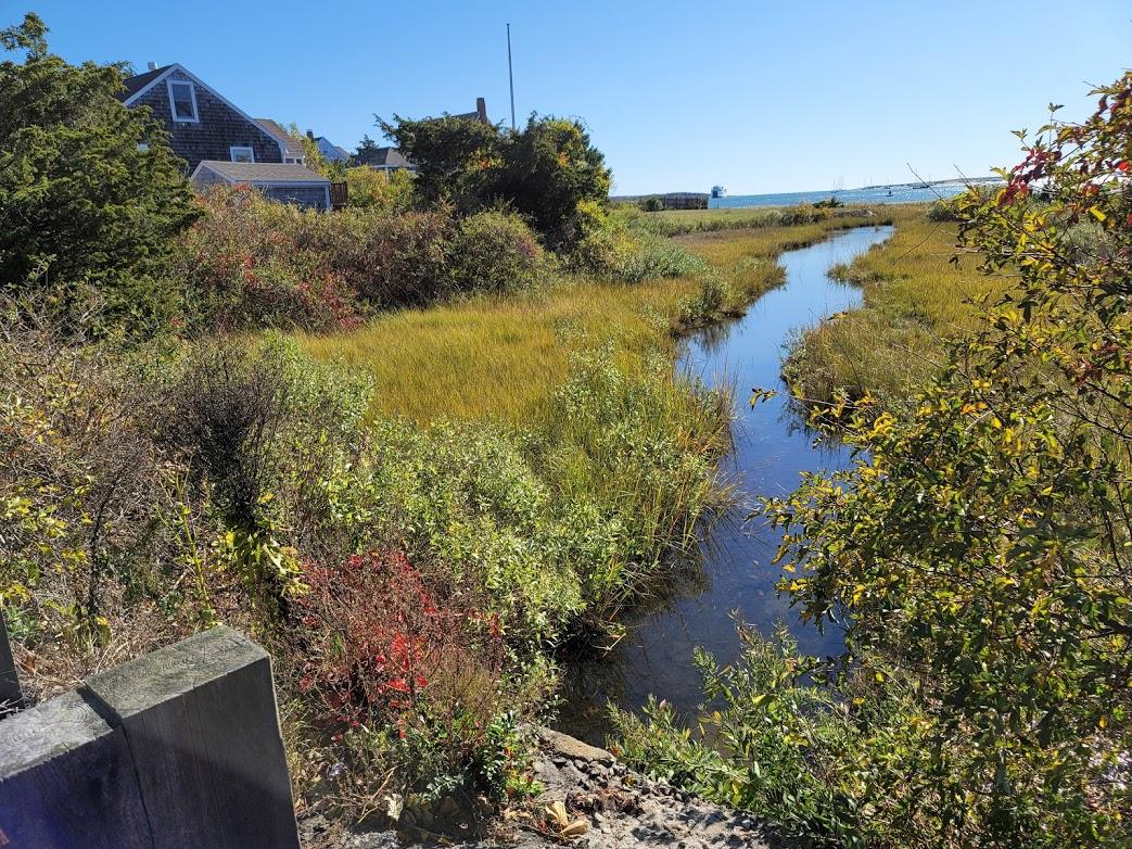 5 Russo Road West Yarmouth, MA 02673 - Photo 28 of 32 20201017_135819