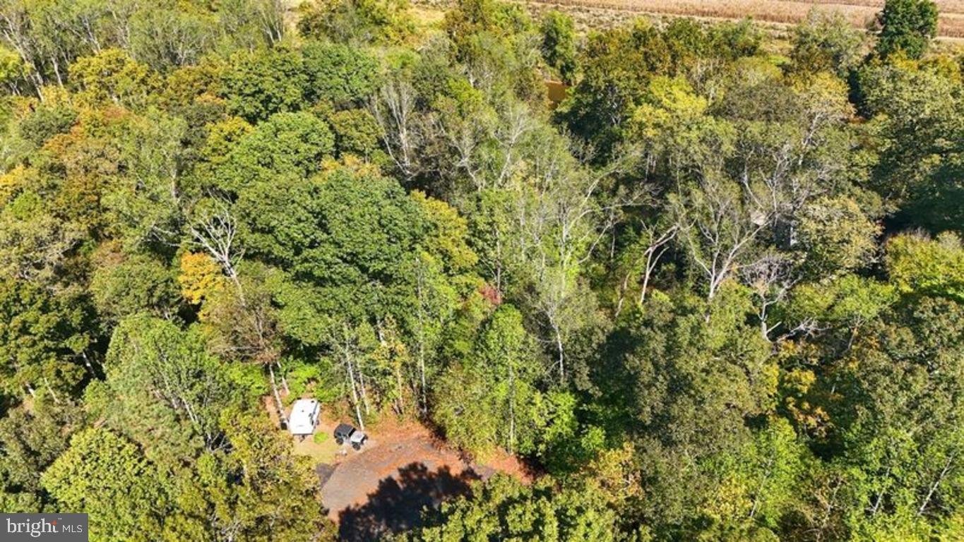 14 Mechunk Terrace Palmyra, VA 22963 - Photo 13 of 15 a view of a yard with a tree