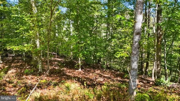 $99,000 | 14 Mechunk Terrace, Palmyra, VA 22963