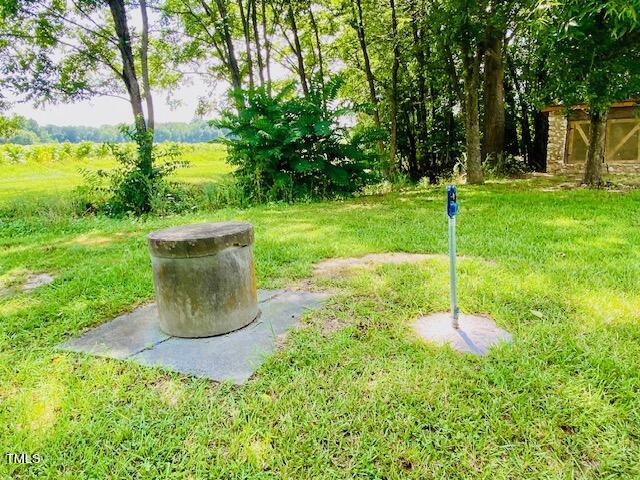 454 Mt Harmony Church Road Timberlake, NC 27583 - Photo 73 of 77 well with water faucet