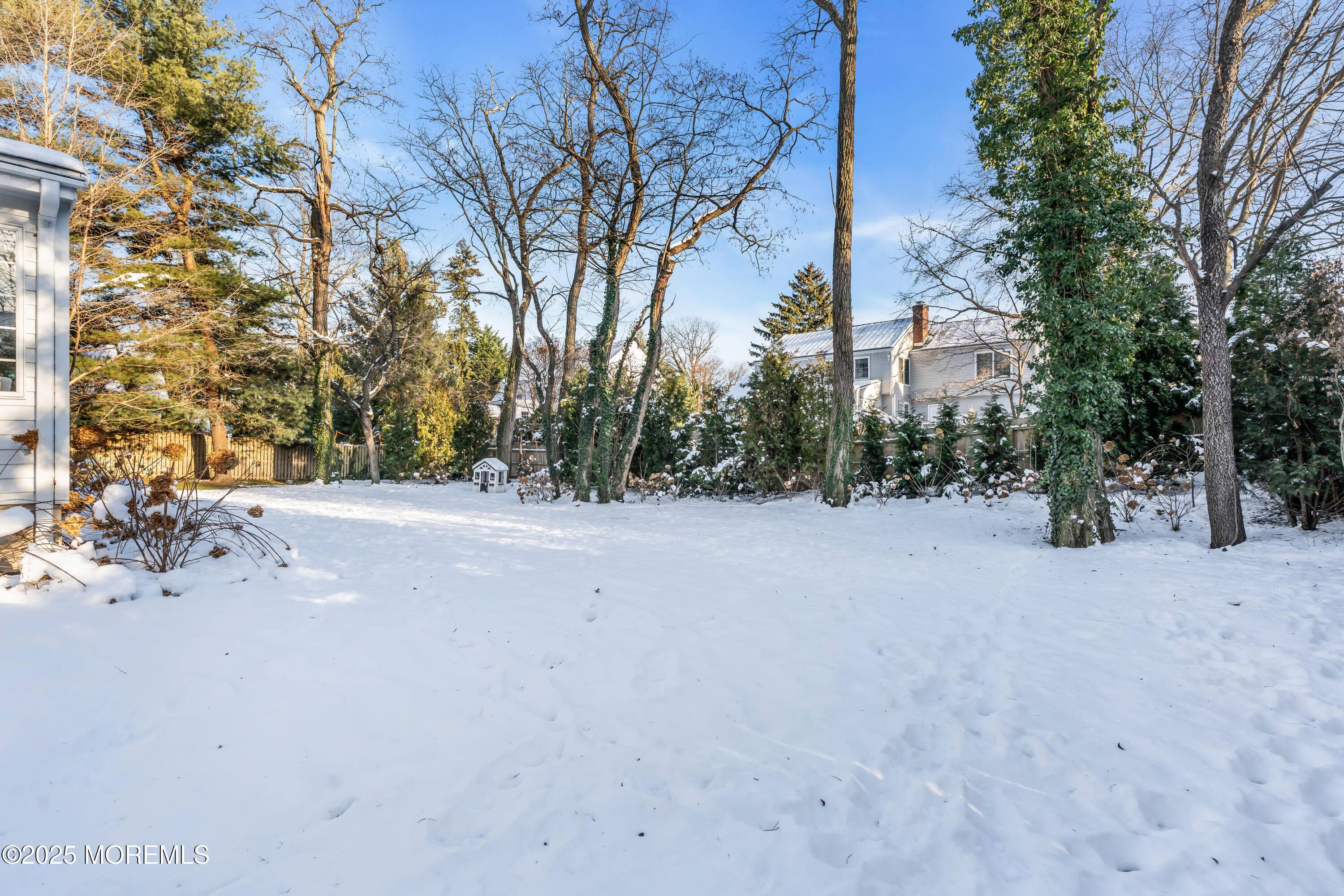 91 Lewis Point Road Fair Haven, NJ 07704 - Photo 49 of 58 a view of road and trees