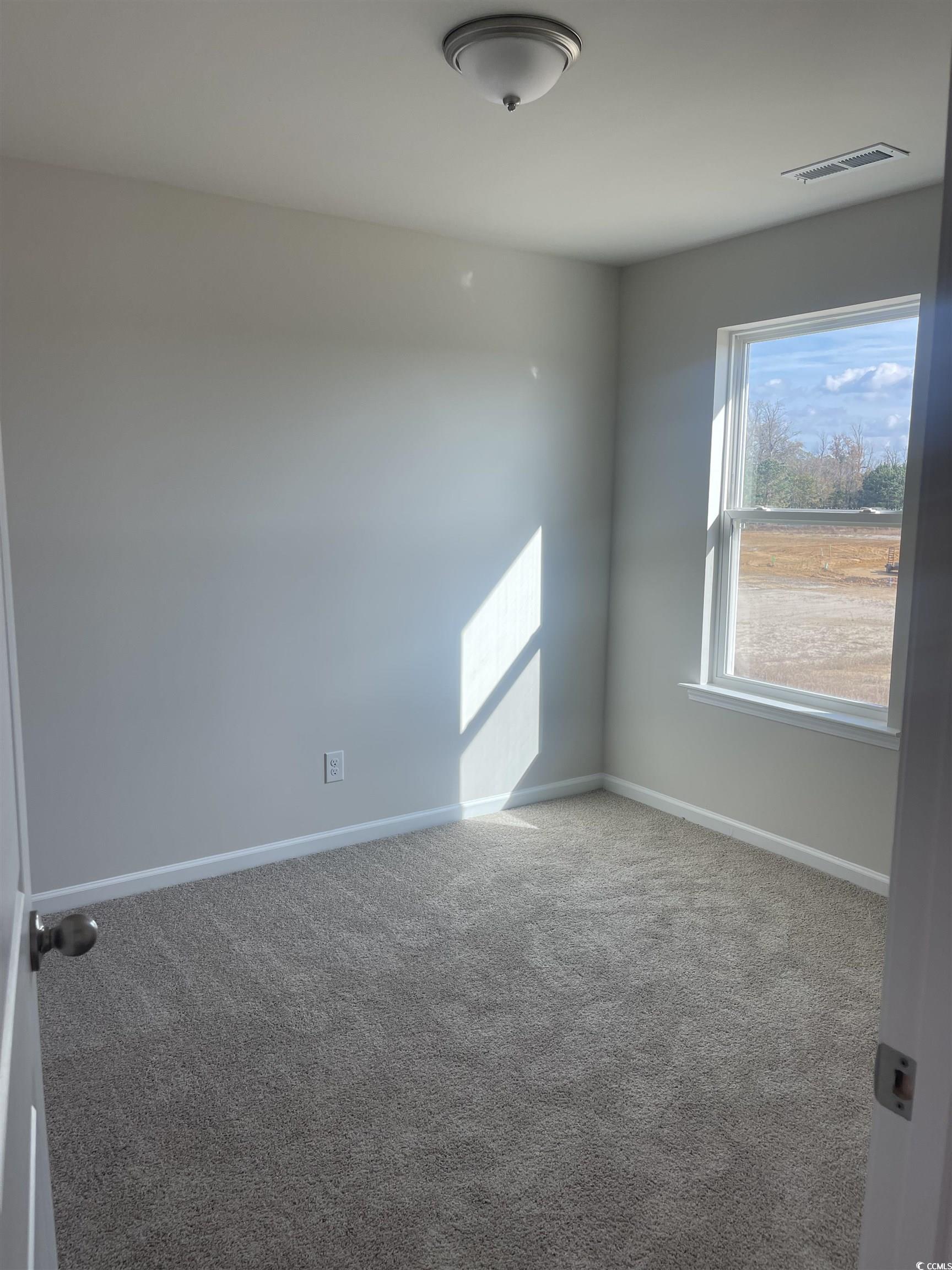 799 Brown Swamp Road Conway, SC 29527 - Photo 18 of 23 Gallery Image 18