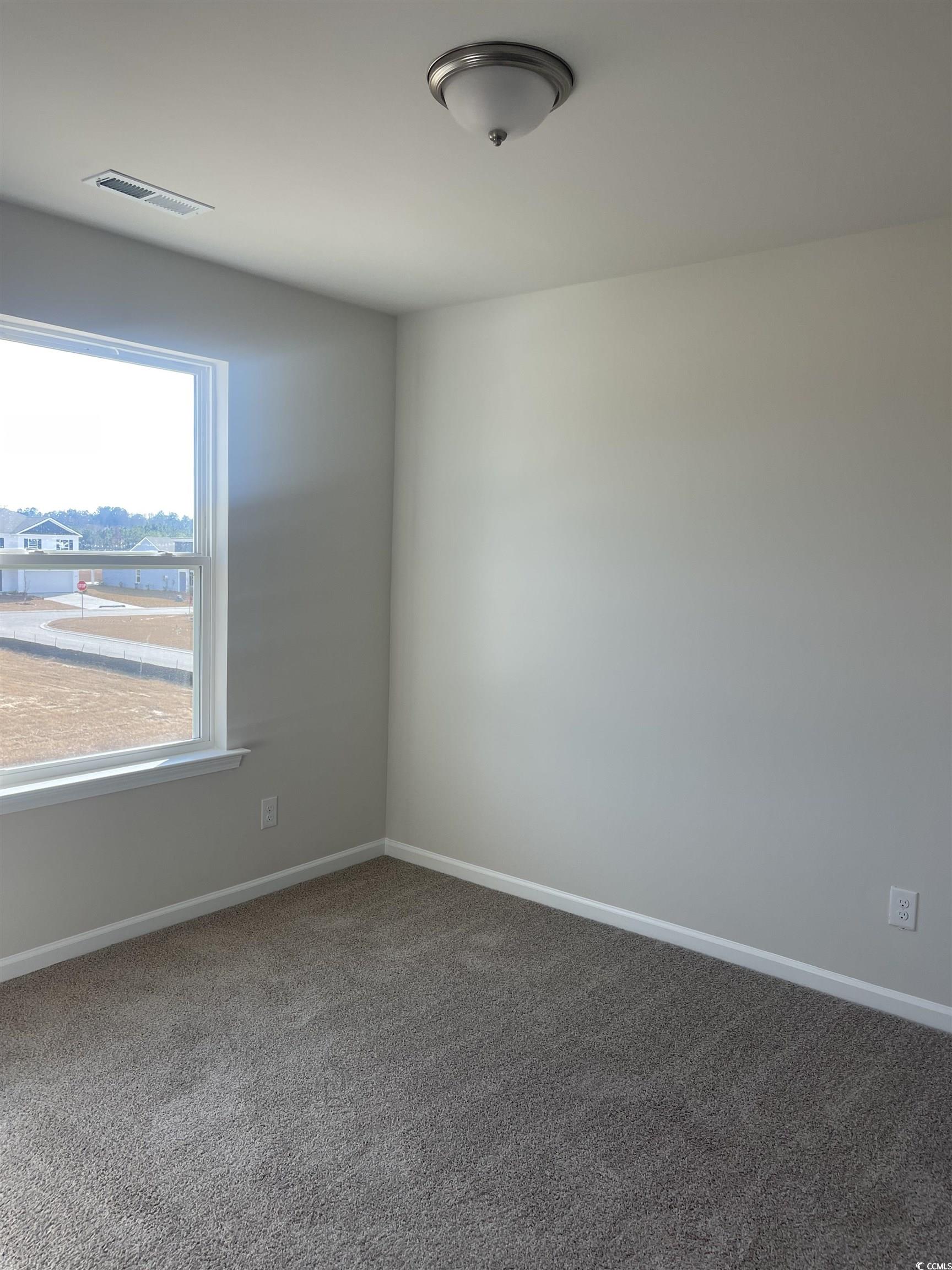799 Brown Swamp Road Conway, SC 29527 - Photo 22 of 23 Gallery Image 22