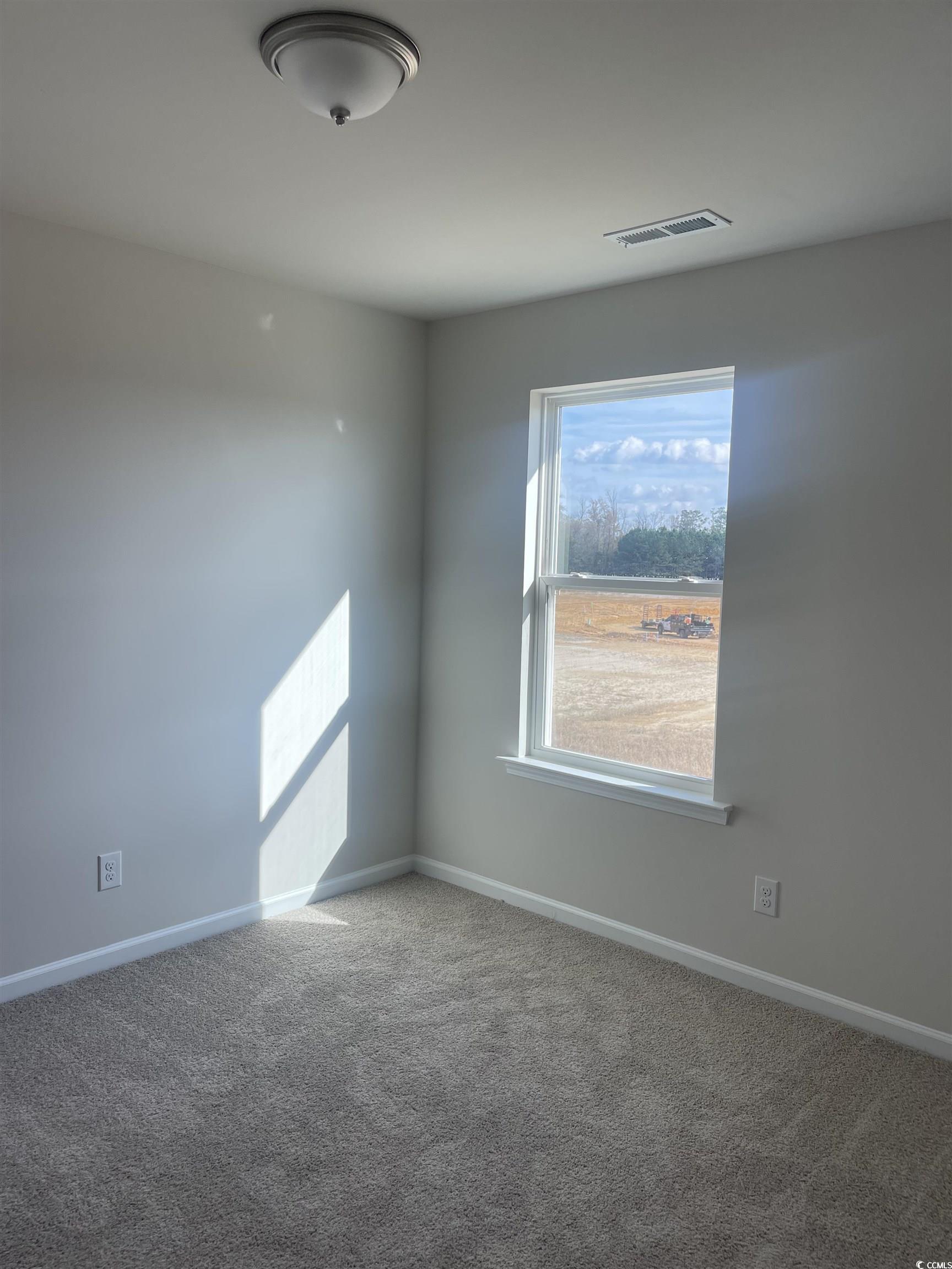 799 Brown Swamp Road Conway, SC 29527 - Photo 23 of 23 Gallery Image 23