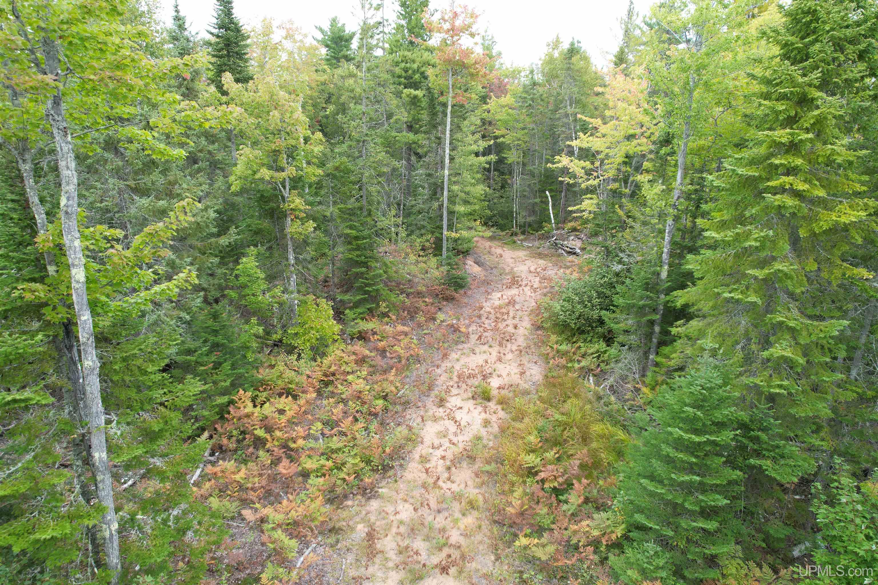 Tbd Evergreen Road Toivola, MI 49965 - Photo 41 of 62