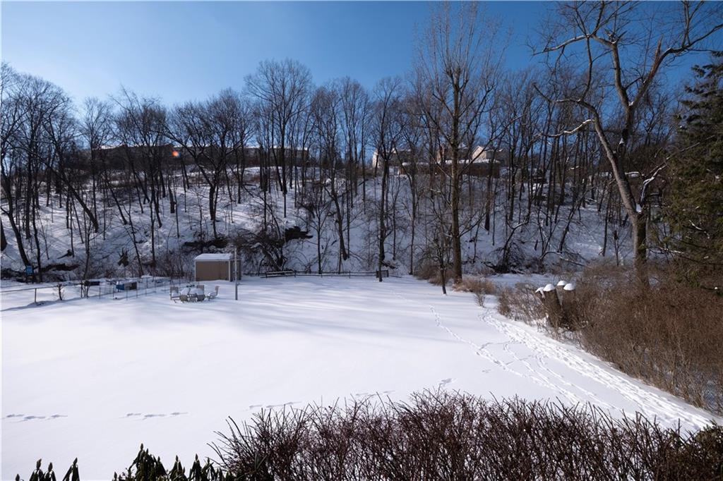 2511 McNeilly Road Pittsburgh, PA 15226 - Photo 23 of 23 a view of outdoor space with trees