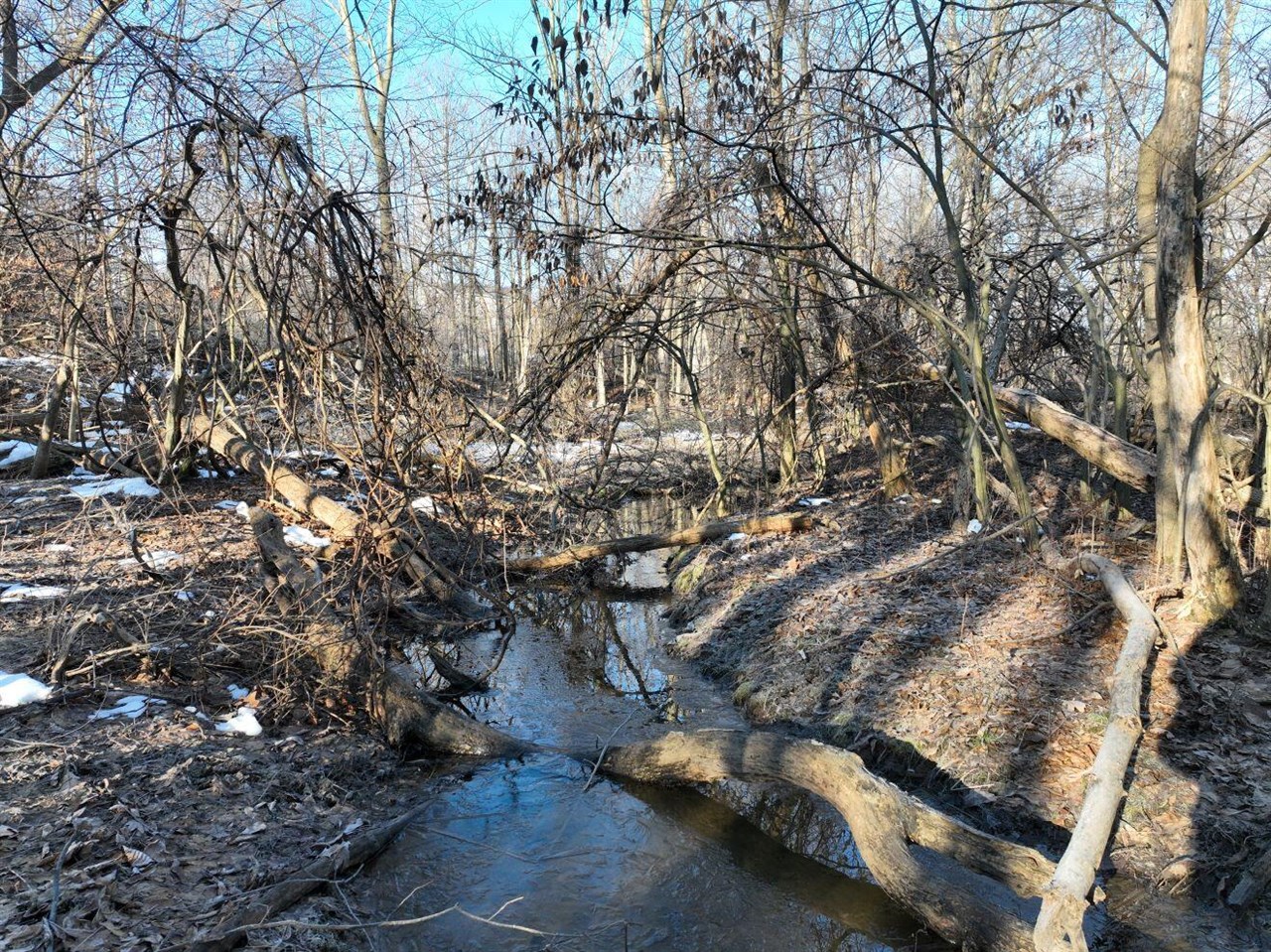 38.14 Northeast A Ne Hayes Road Comstock Park, MI 49321 - Photo 36 of 38