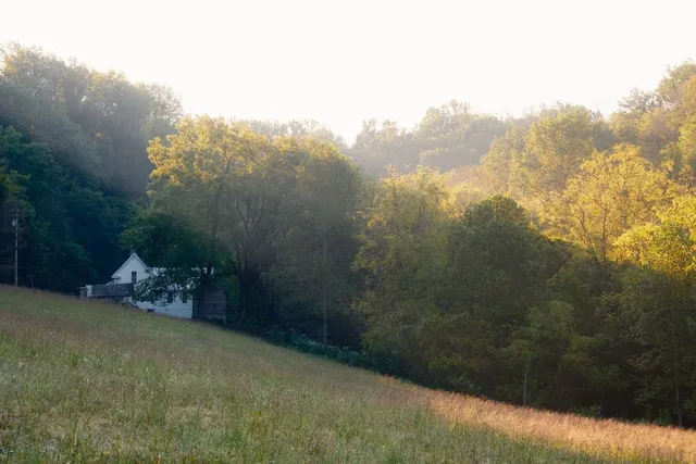a view of a room with furniture and windows