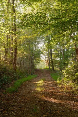 $3,995,000 | 3685 Martin Ervin Road, Santa Fe, TN 38482