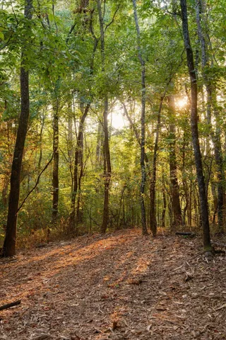 $3,995,000 | 3685 Martin Ervin Road, Santa Fe, TN 38482