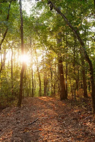 $3,995,000 | 3685 Martin Ervin Road, Santa Fe, TN 38482