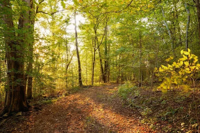 $3,995,000 | 3685 Martin Ervin Road, Santa Fe, TN 38482