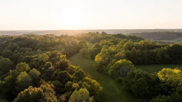 $3,995,000 | 3685 Martin Ervin Road, Santa Fe, TN 38482