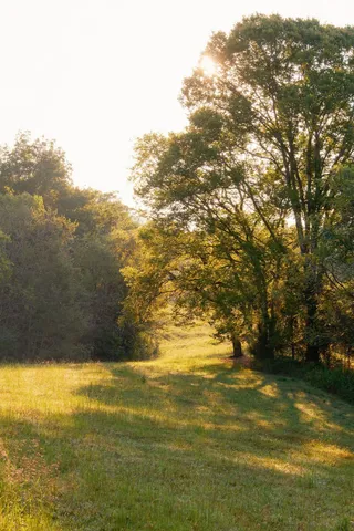 $3,995,000 | 3685 Martin Ervin Road, Santa Fe, TN 38482