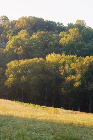 $3,995,000 | 3685 Martin Ervin Road, Santa Fe, TN 38482