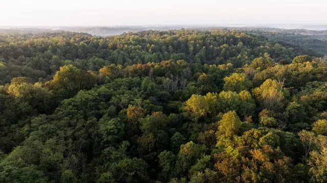 $3,995,000 | 3685 Martin Ervin Road, Santa Fe, TN 38482