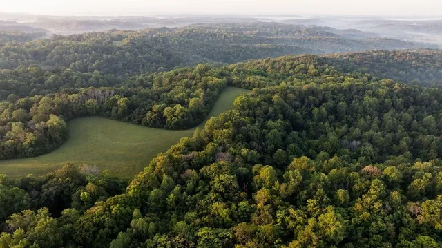 $3,995,000 | 3685 Martin Ervin Road, Santa Fe, TN 38482