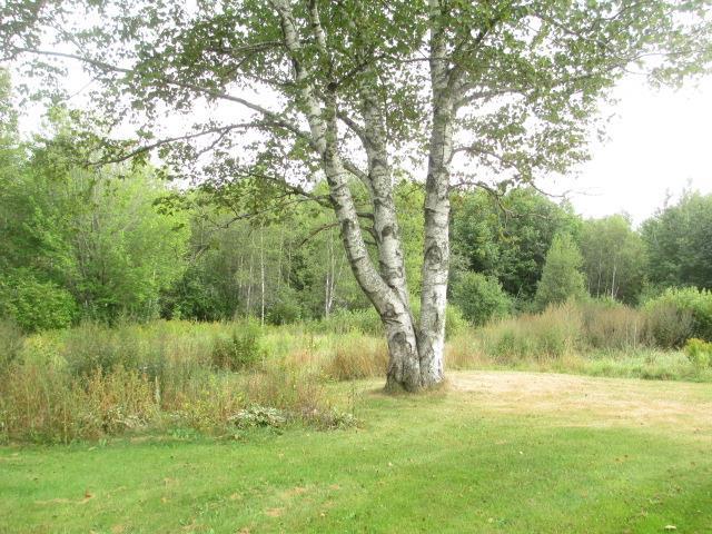 166 Cross Road Greenbush, ME 04418 - Photo 11 of 14 Photo