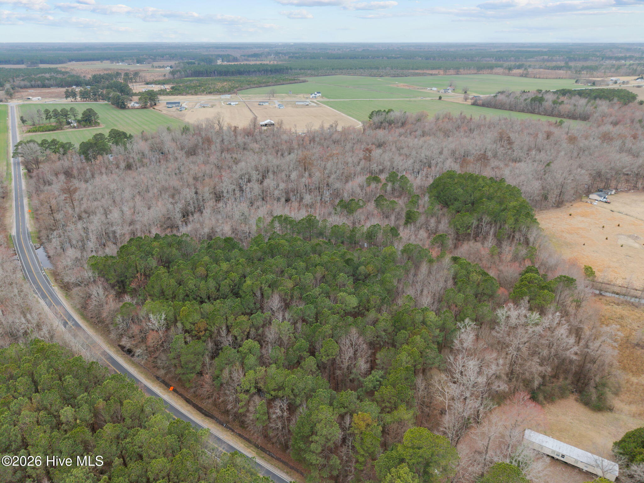 0 Whichard Cherry Lane Road Stokes, NC 27884 - Photo 11 of 11 2-web-or-mls-DJI_20260302140735_0051_D