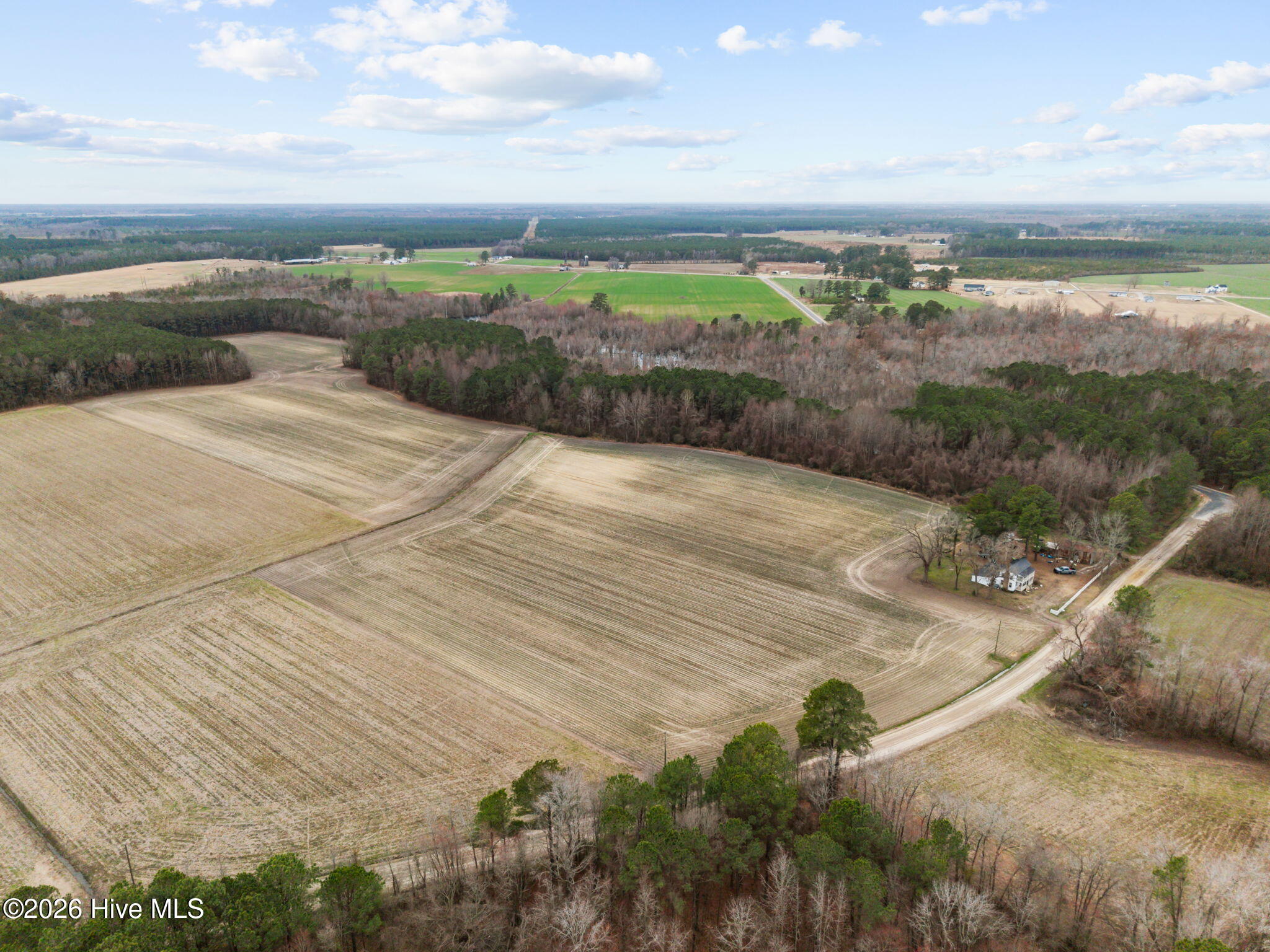0 Whichard Cherry Lane Road Stokes, NC 27884 - Photo 4 of 11 9-web-or-mls-DJI_20260302141429_0058_D
