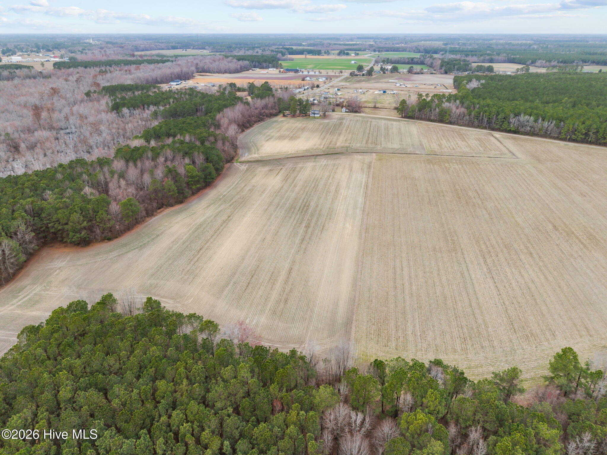 0 Whichard Cherry Lane Road Stokes, NC 27884 - Photo 6 of 11 7-web-or-mls-DJI_20260302141243_0056_D