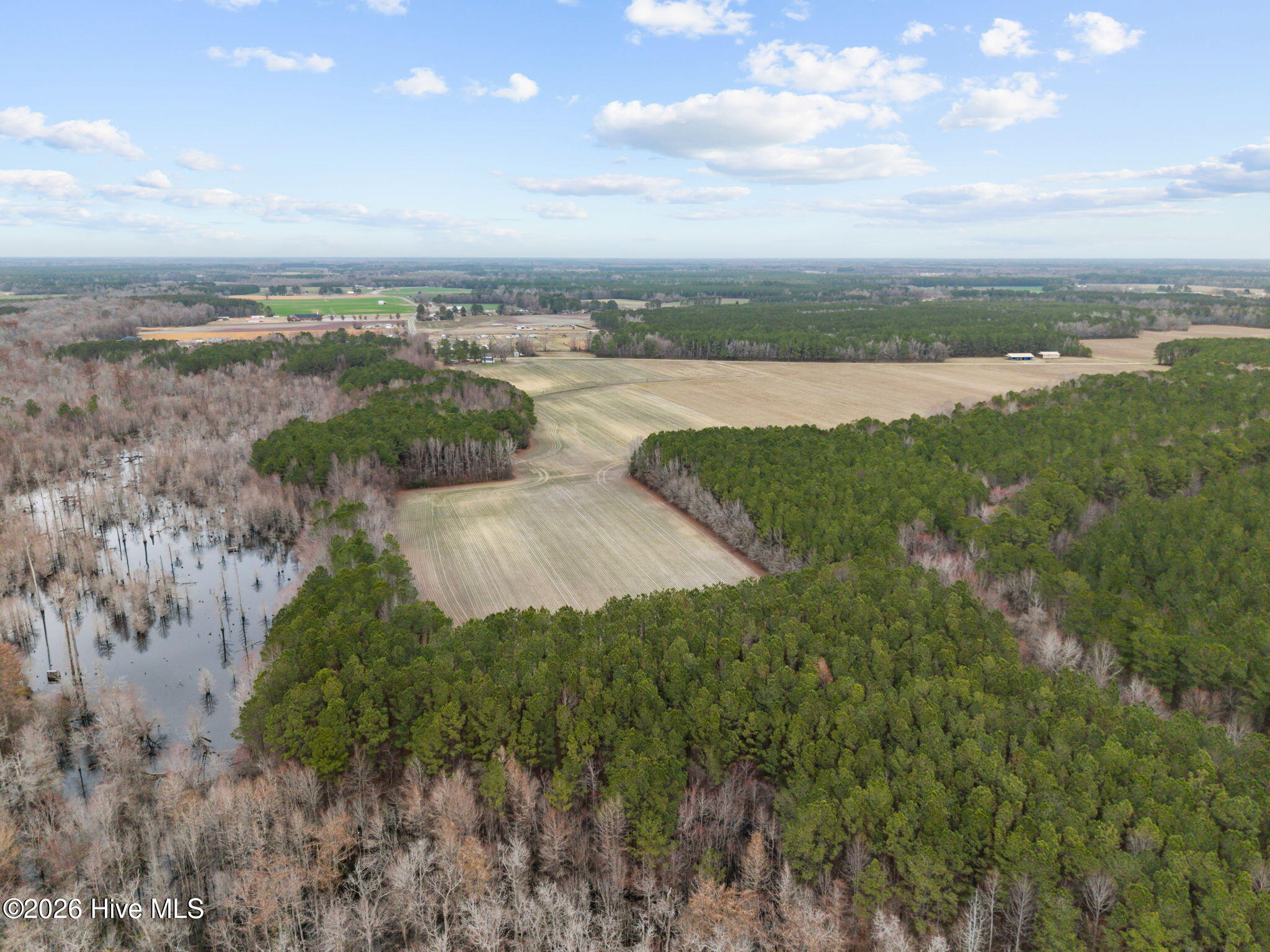0 Whichard Cherry Lane Road Stokes, NC 27884 - Photo 7 of 11 6-web-or-mls-DJI_20260302141137_0054_D