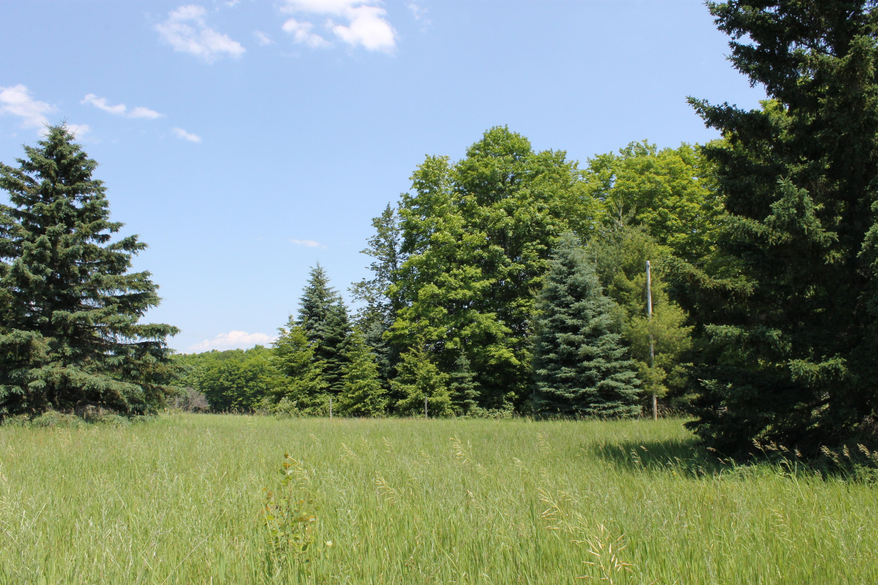 10533 Scott Road Wolverine, MI 49799 - Photo 24 of 30 Gallery Image 24