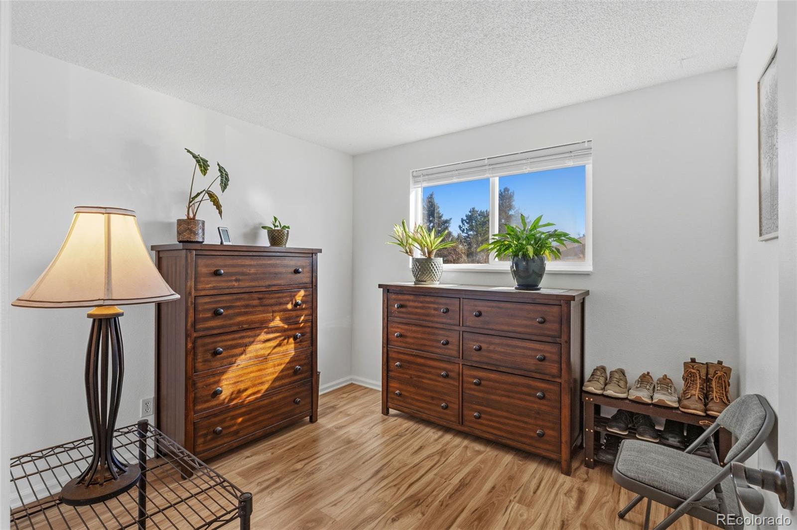 357 Saturn Place Lone Tree, CO 80124 - Photo 16 of 39 a living room with furniture and a window