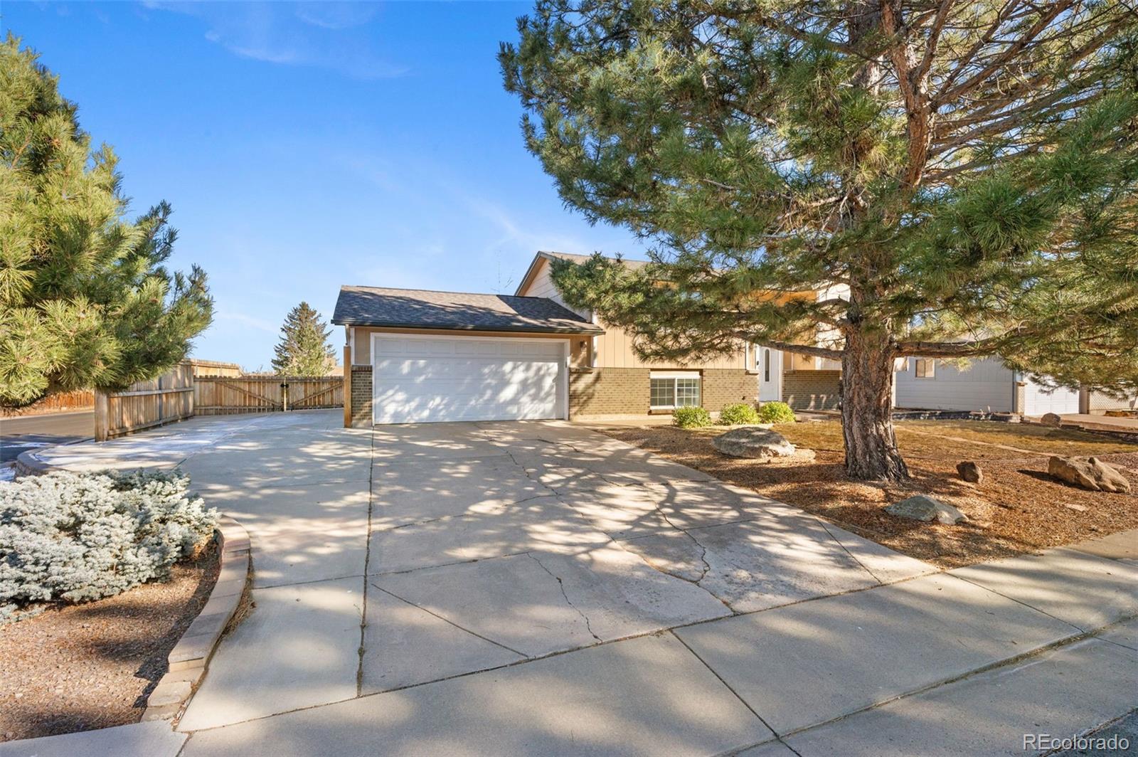 357 Saturn Place Lone Tree, CO 80124 - Photo 38 of 39 a view of a yard with plants and trees