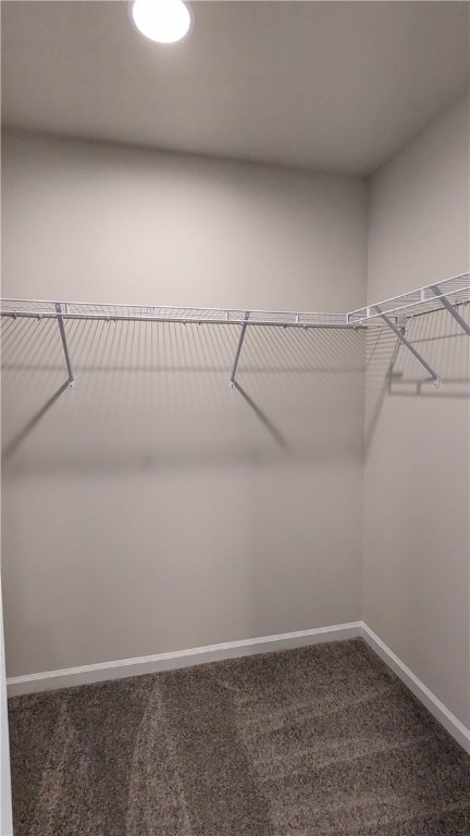 249 Carvel Trail Seneca, SC 29678 - Photo 26 of 40