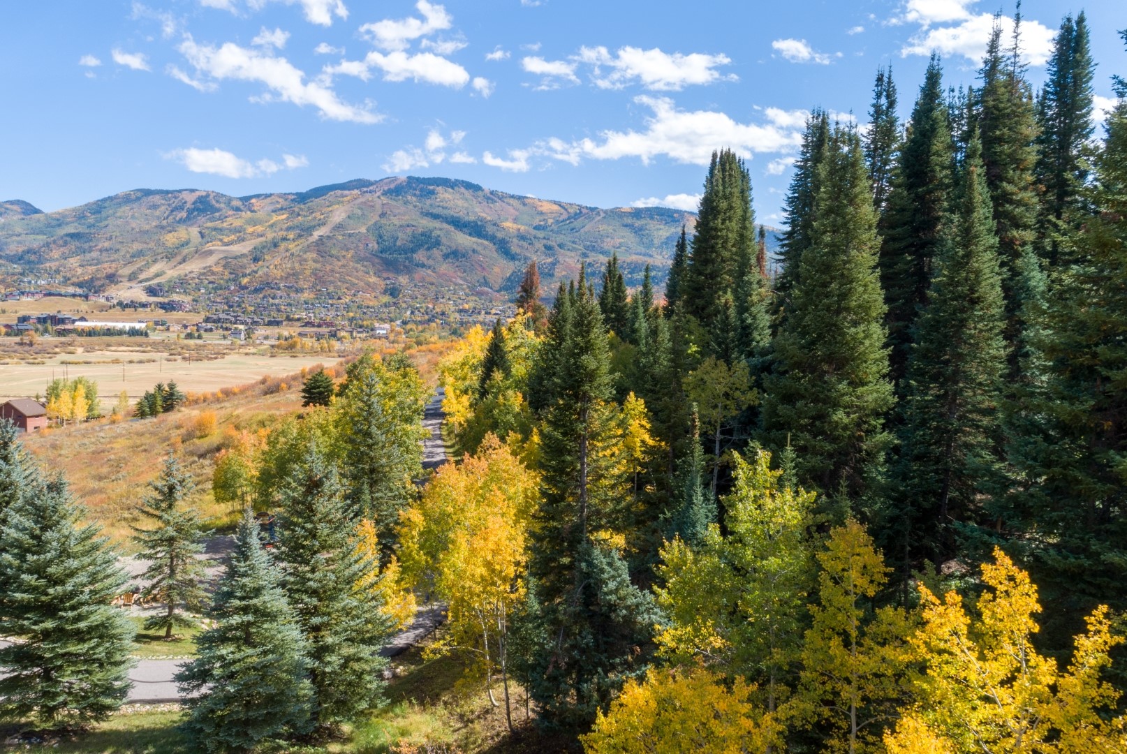 31655 Sugar Ridge Road Steamboat Springs, CO 80487 - Photo 22 of 49 a view of a houses with a yard