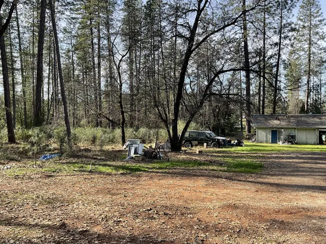 a view of park that has large trees