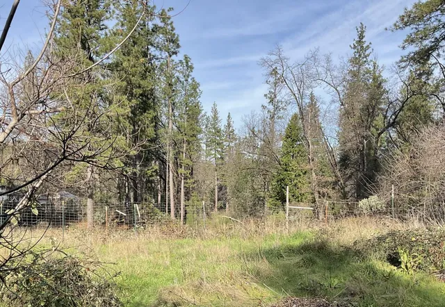 a view of a yard with large trees