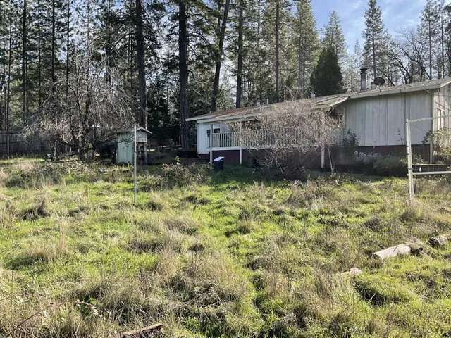 a view of a forest with trees in front of it