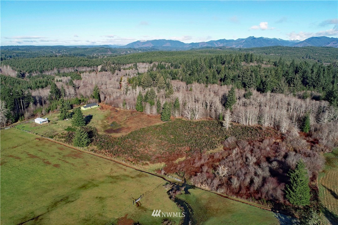 3794 West Deckerville Road Elma, WA 98541 - Photo 22 of 29 Gallery Image 22