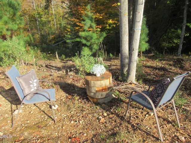 a view of backyard with green space