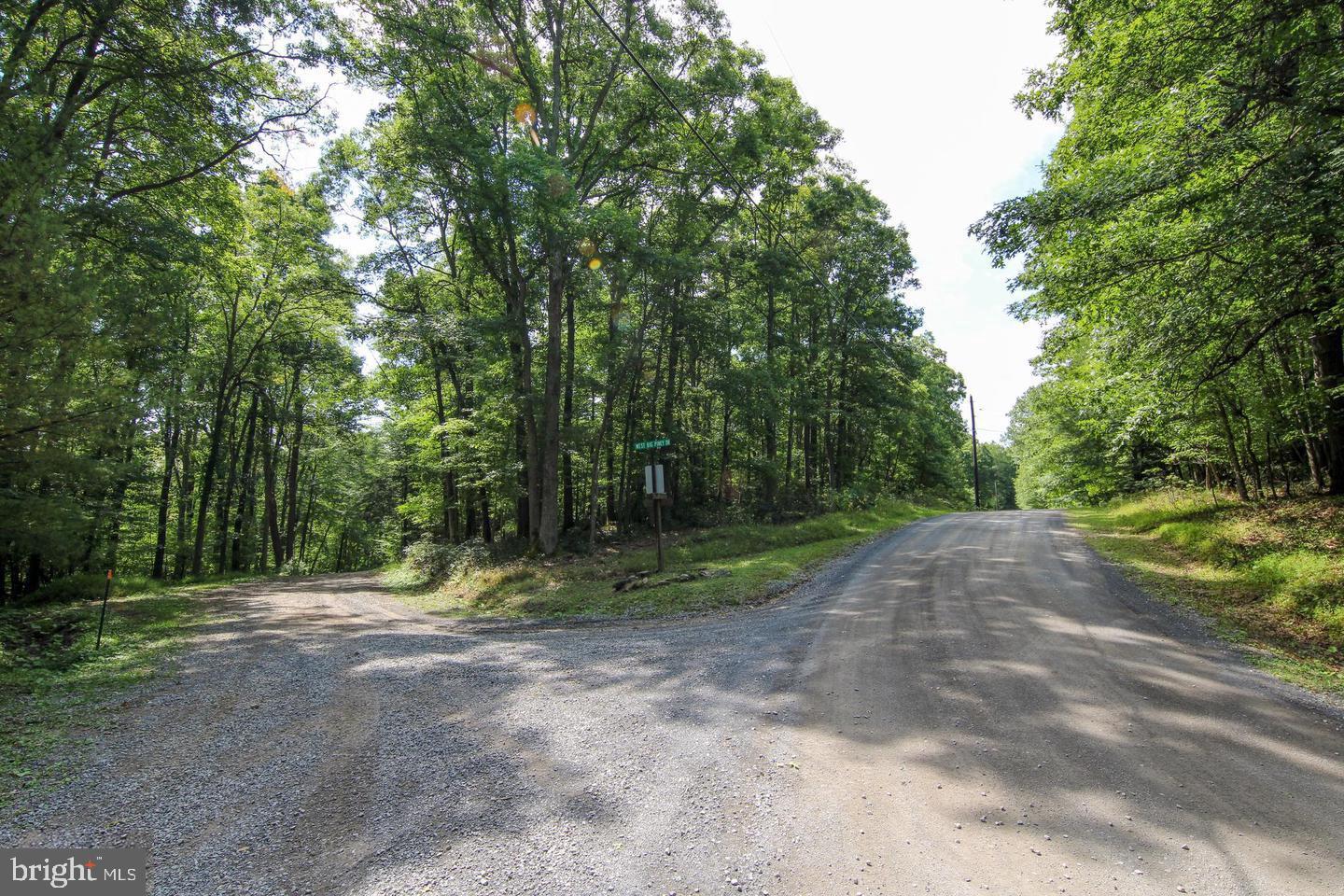 Lot 20 Stool Rock Road Oakland, MD 21550 - Photo 11 of 21 Gallery Image 11