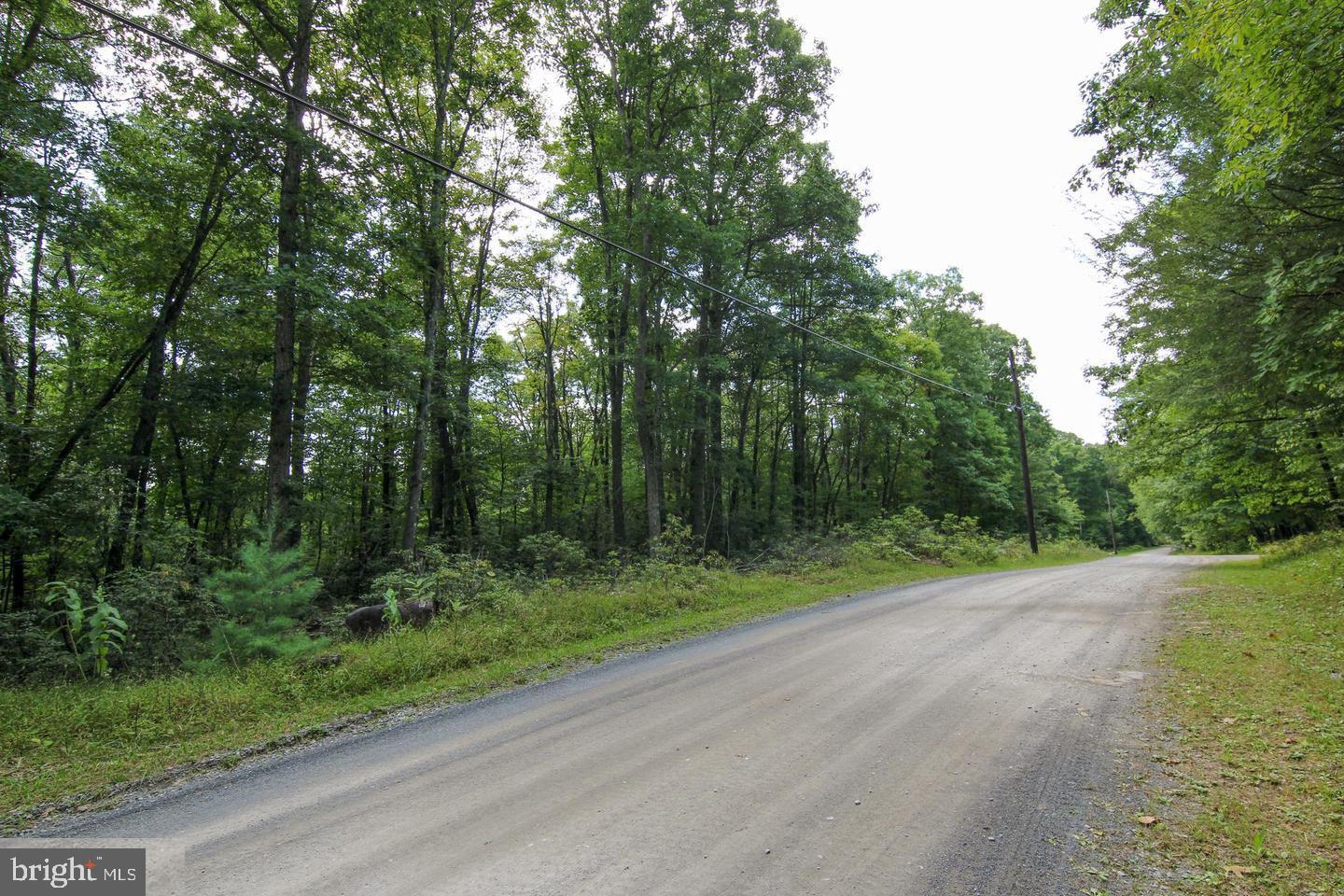 Lot 20 Stool Rock Road Oakland, MD 21550 - Photo 12 of 21 Gallery Image 12