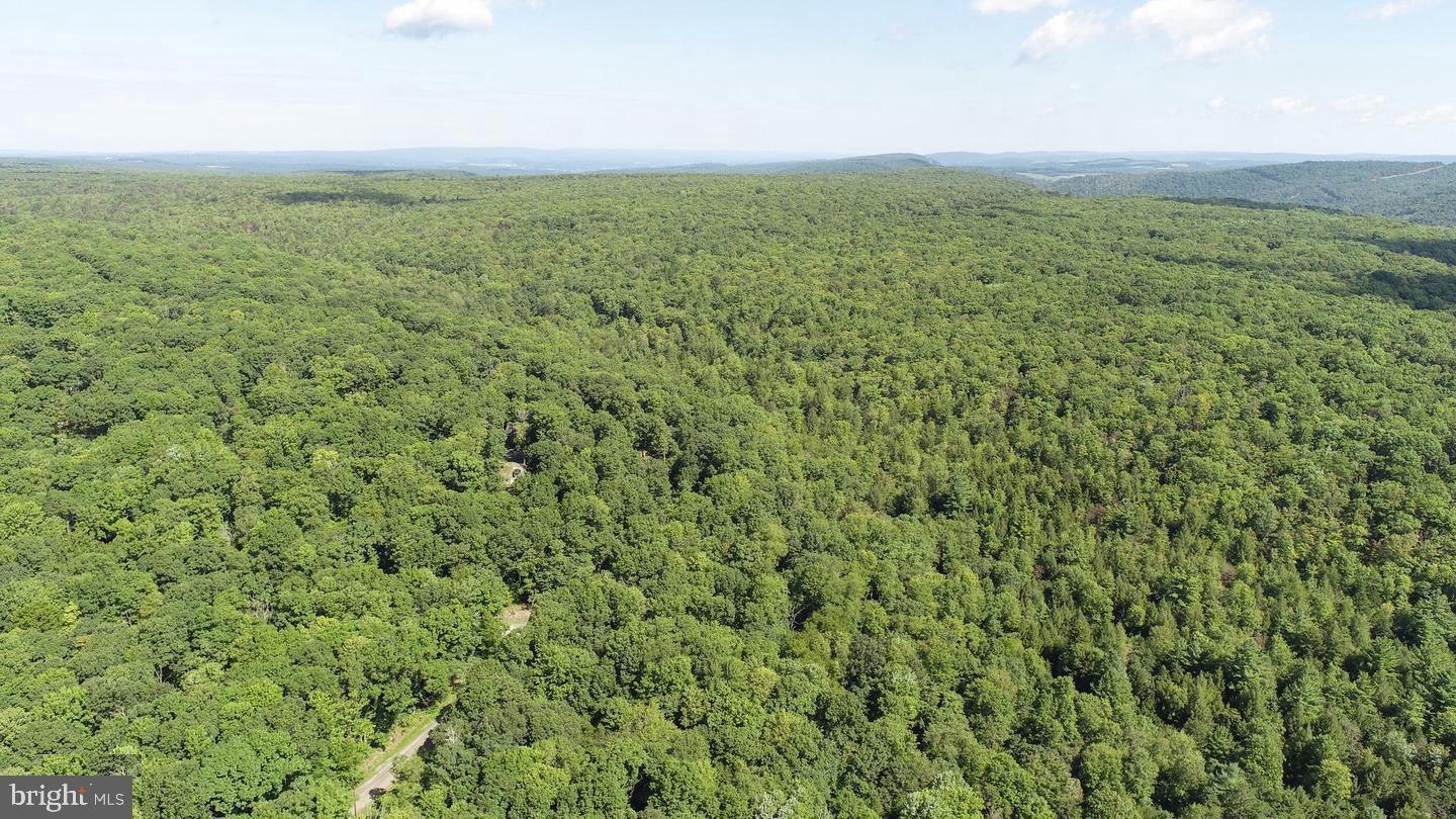 Lot 20 Stool Rock Road Oakland, MD 21550 - Photo 18 of 21 Gallery Image 18