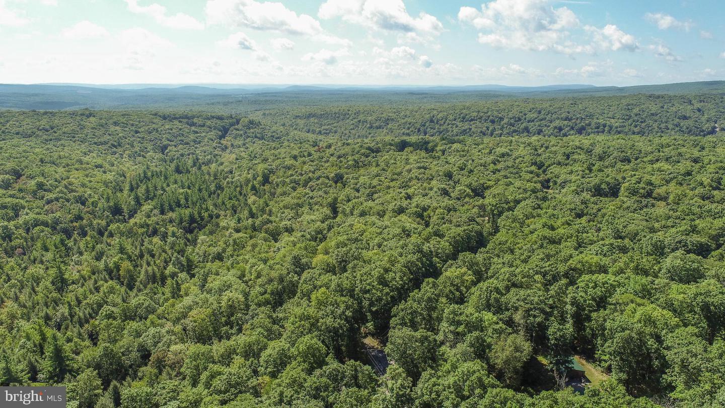 Lot 20 Stool Rock Road Oakland, MD 21550 - Photo 20 of 21 Gallery Image 20