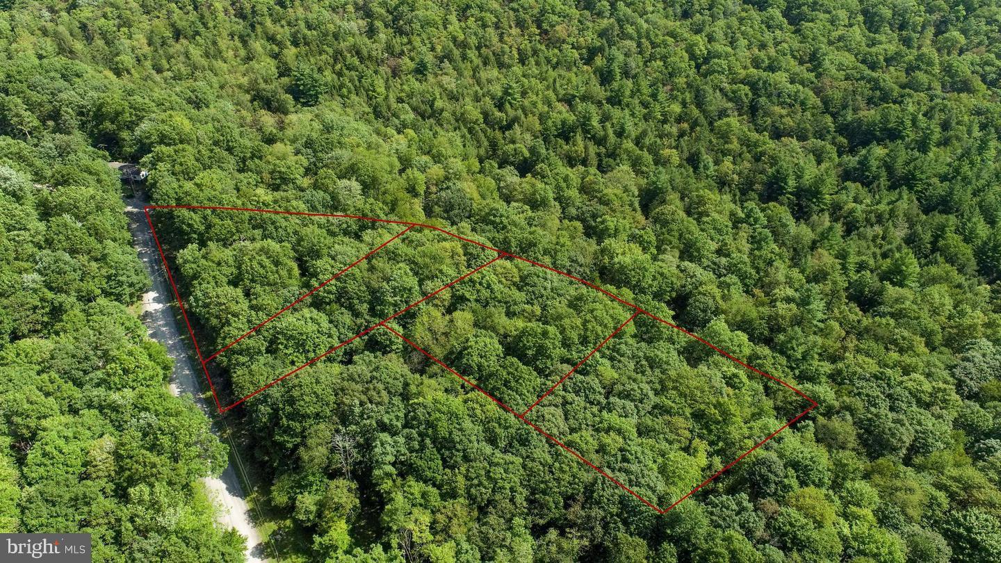 Lot 20 Stool Rock Road Oakland, MD 21550 - Photo 4 of 21 Gallery Image 4