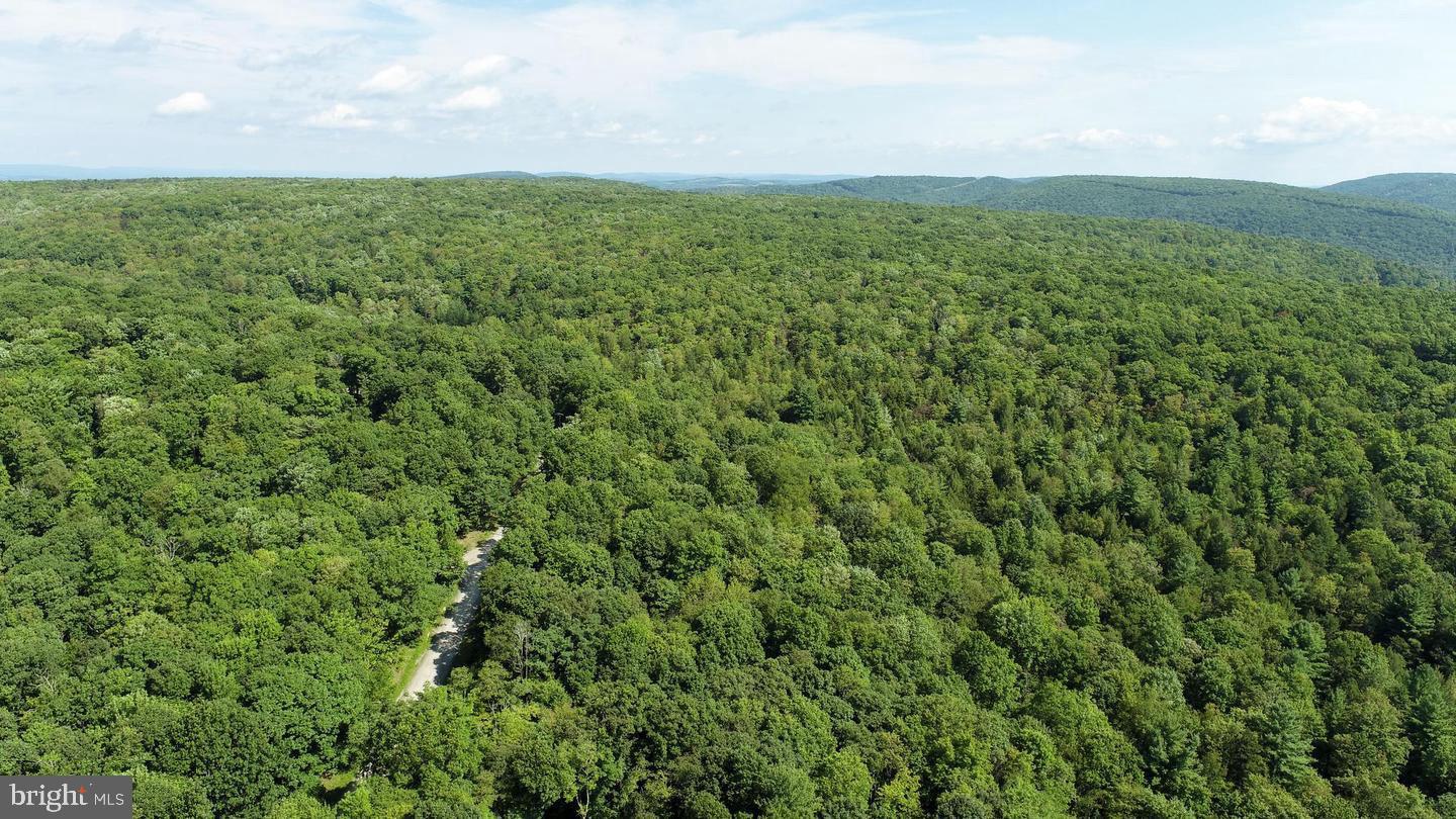 Lot 20 Stool Rock Road Oakland, MD 21550 - Photo 5 of 21 Gallery Image 5