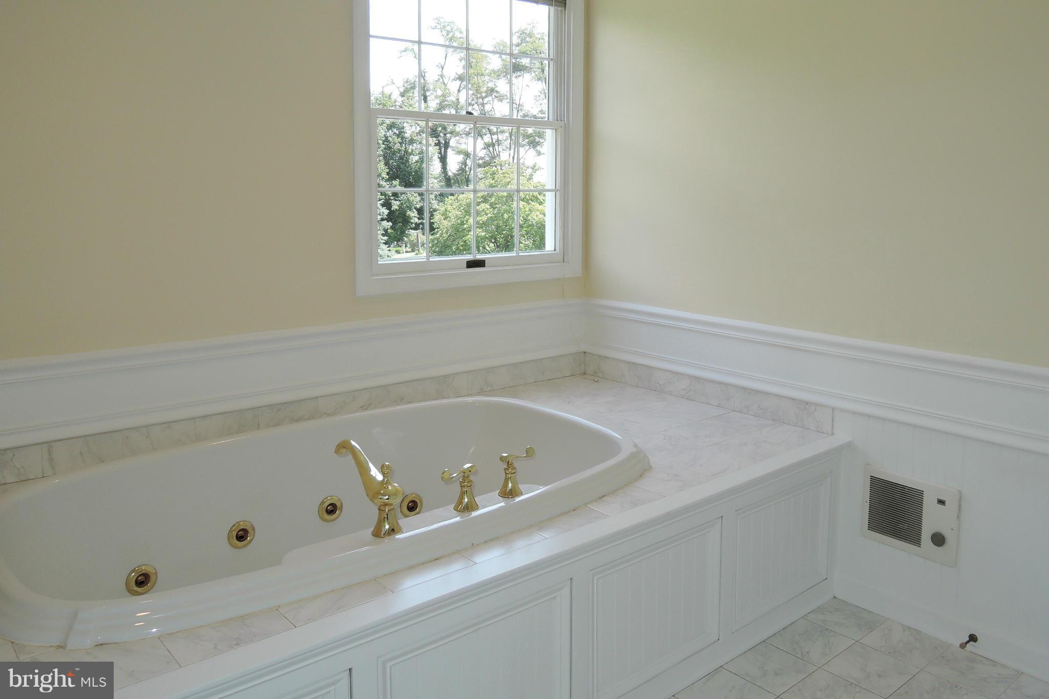 3726 Dance Mill Road Phoenix, MD 21131 - Photo 14 of 30 Master Bath