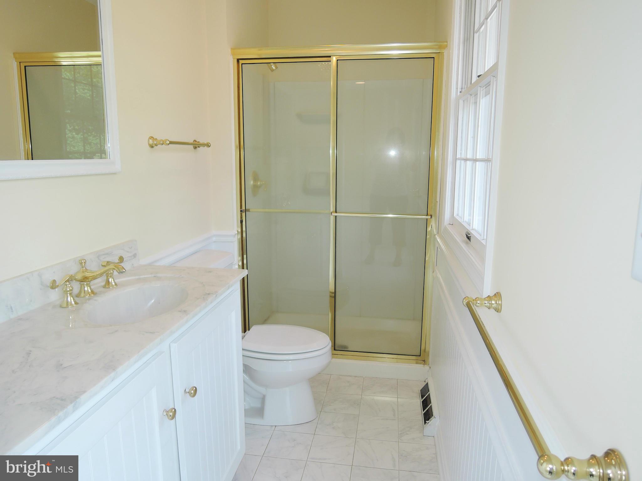 3726 Dance Mill Road Phoenix, MD 21131 - Photo 15 of 30 Master Bath