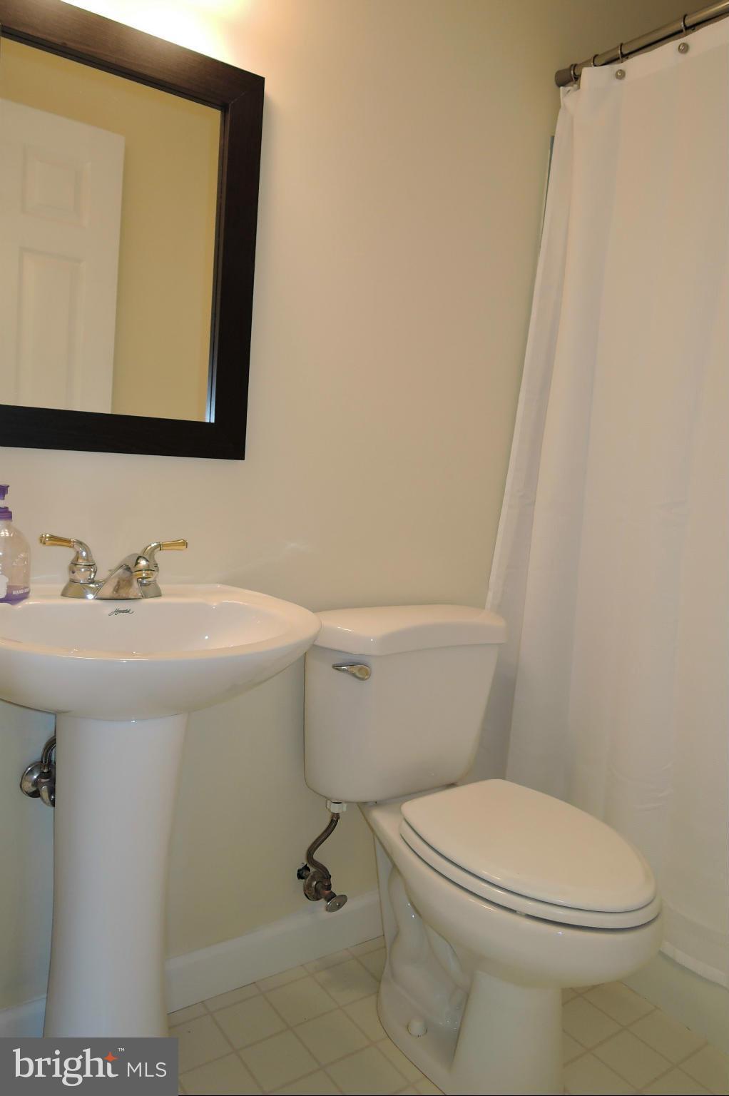 3726 Dance Mill Road Phoenix, MD 21131 - Photo 17 of 30 Main Level Hall Bath