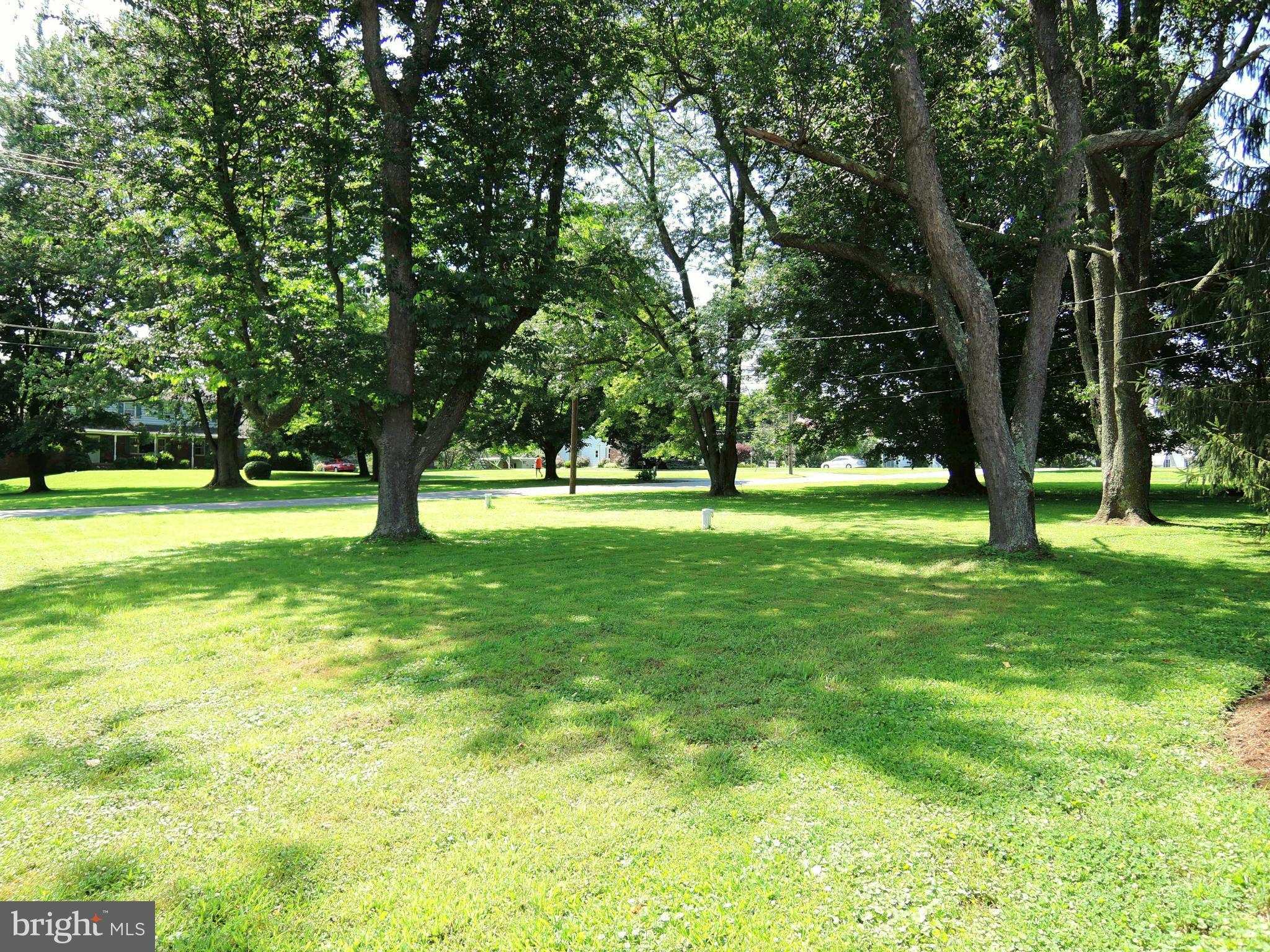 3726 Dance Mill Road Phoenix, MD 21131 - Photo 26 of 30 Front Yard